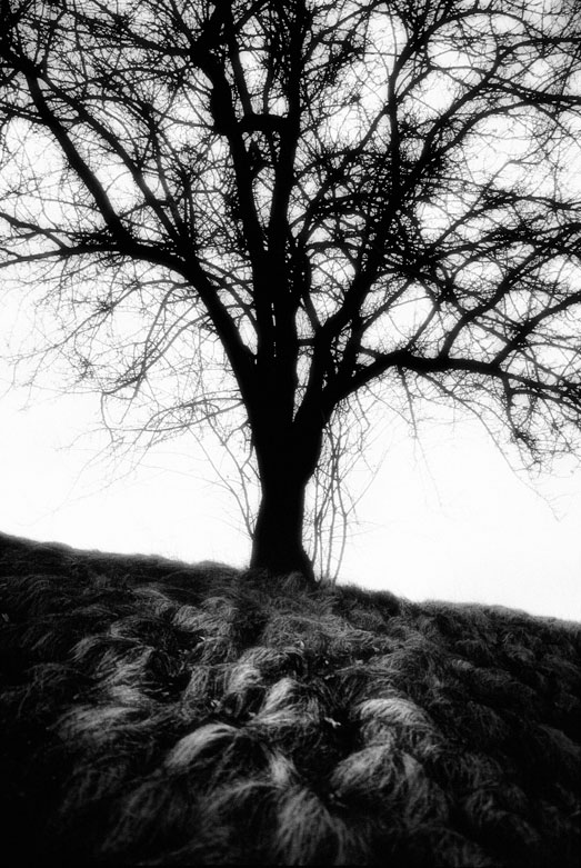 On the Hill | © Jonathan McIntyre Photogeraphy