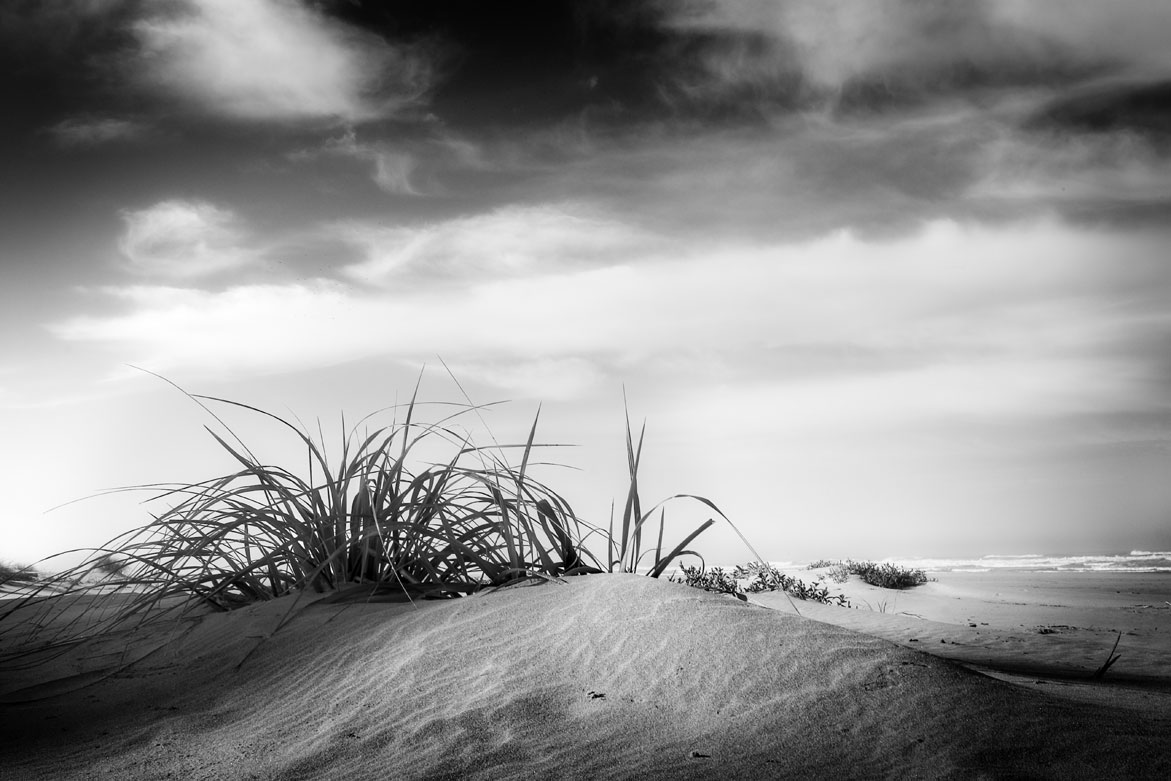 Light on Land | © Jonathan McIntyre Photogeraphy