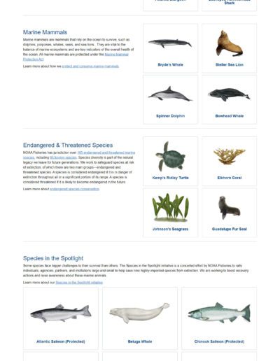 fisheries.noaa.gov | CMS Website